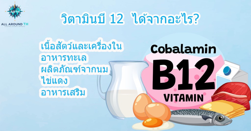 วิตามินบี 12  ได้จากอะไร?