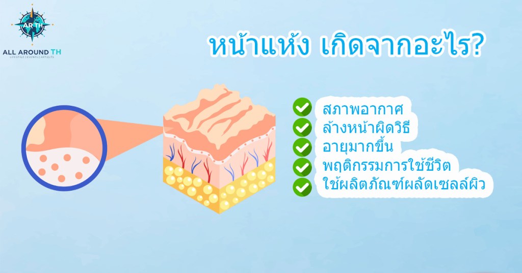 หน้าแห้ง เกิดจากอะไร