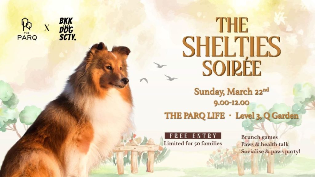 ชวนเหล่าครอบครัวเชลตี้ขนฟู บุกเดอะ ปาร์ค พร้อมปล่อยจอยในงาน The Shelties&nbsp;Soirée